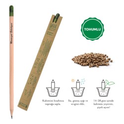 569  Tohumlu Naturel Kurşun Kalem